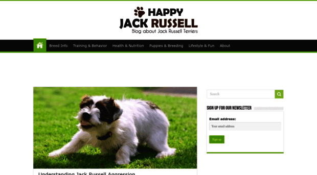 happyjackrussell.com