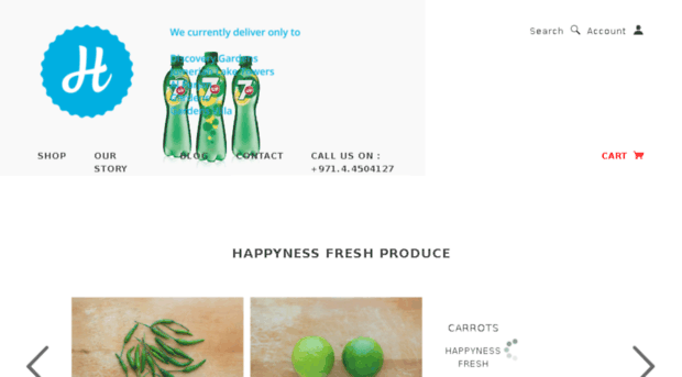 happyness123.myshopify.com