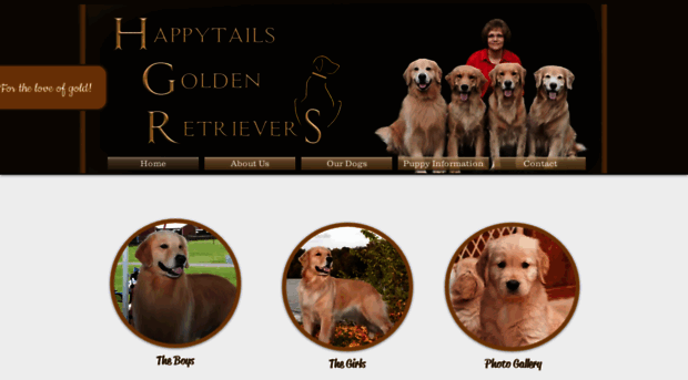 happytailsgoldenretrievers.com