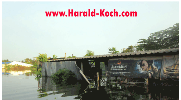 harald-koch.com
