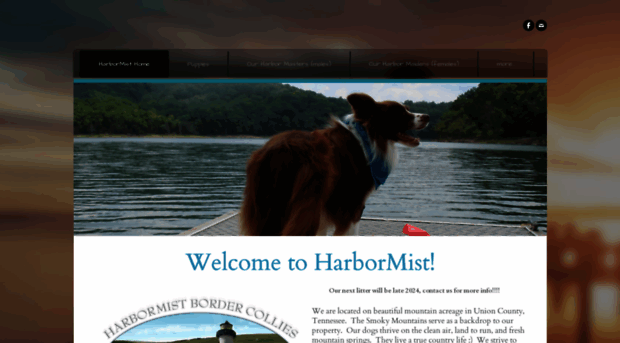 harbormistbordercollies.weebly.com