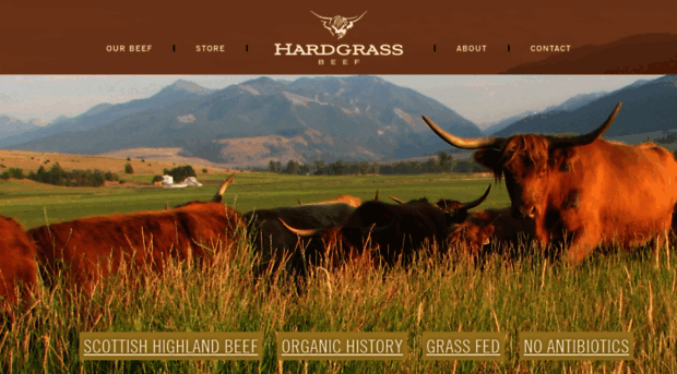 hardgrassbeef.com