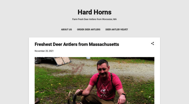 hardhorns.com