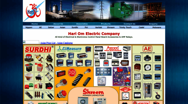 hariomelectric.com