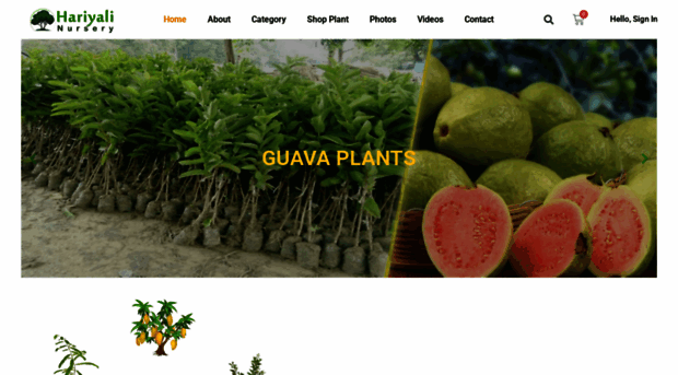hariyalinursery.in