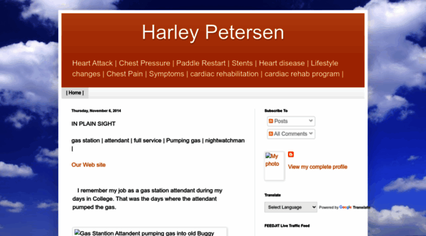 harley-petersen.blogspot.com