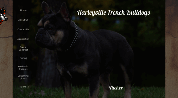 harleyvillefrenchbulldogs.com