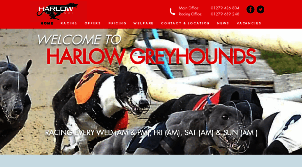 harlowgreyhounds.co.uk