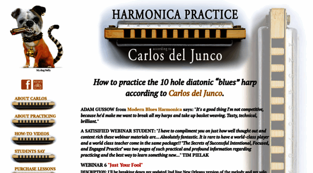 harmonicapractice.com