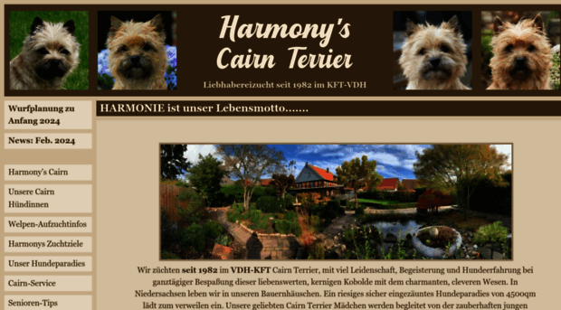 harmonys-cairn-terrier.de
