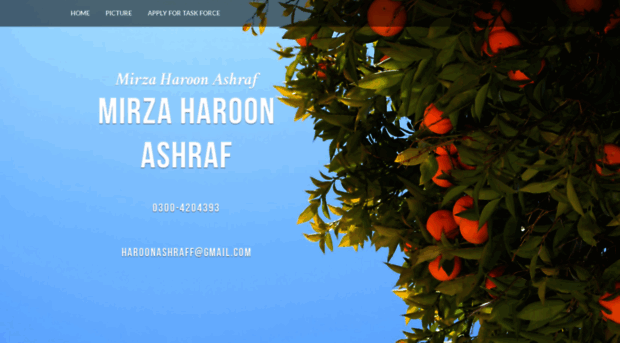 haroonashraf.weebly.com