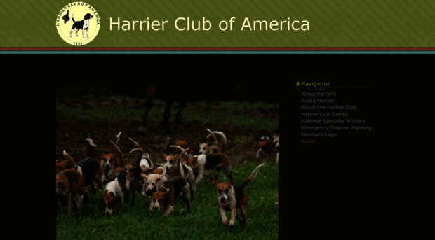 harrierclubofamerica.com