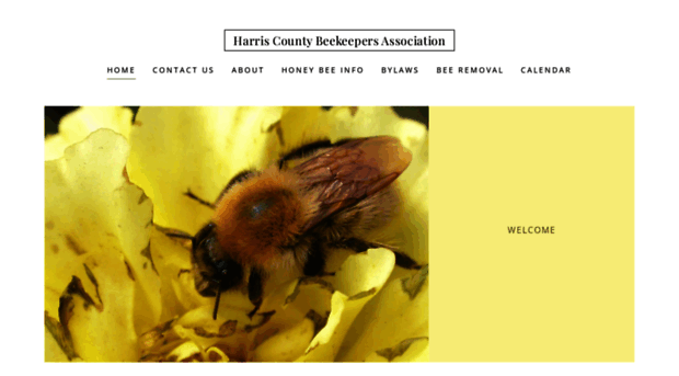 harriscountybeekeepers.org