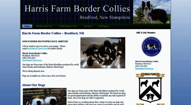 harrisfarmbordercollies.com