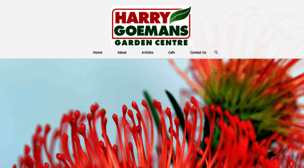 harrygoemans.co.za