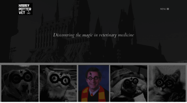 harrypottervet.com