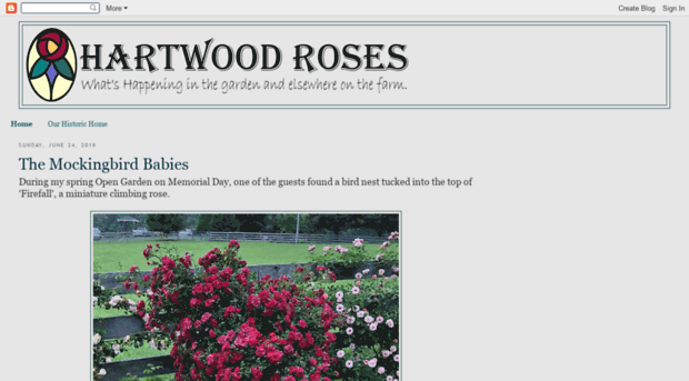 hartwoodroses.blogspot.co.at