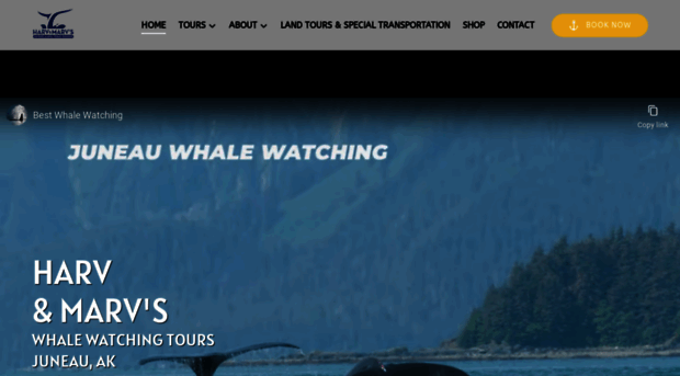 harvandmarvs-juneau-whale-watching.com