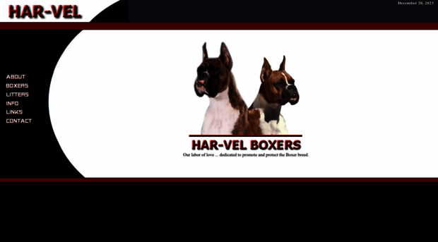 harvelboxers.com