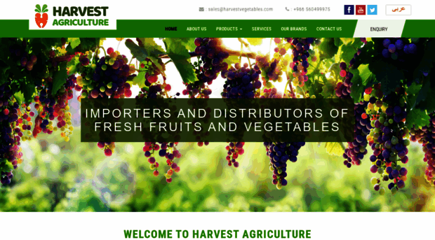 harvestvegetables.com