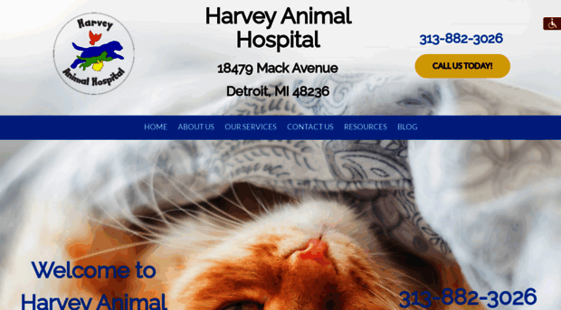 harveyanimalhospital.com