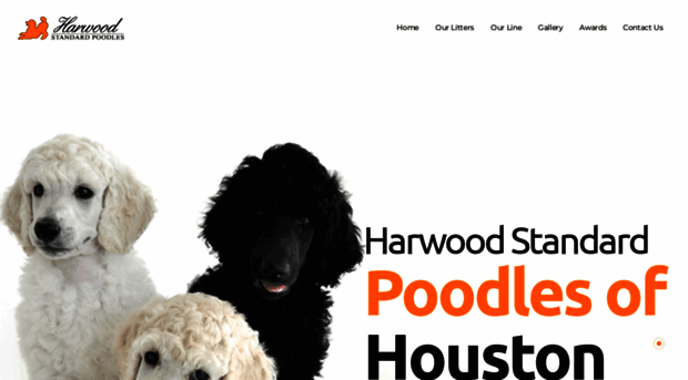 harwoodpoodles.com
