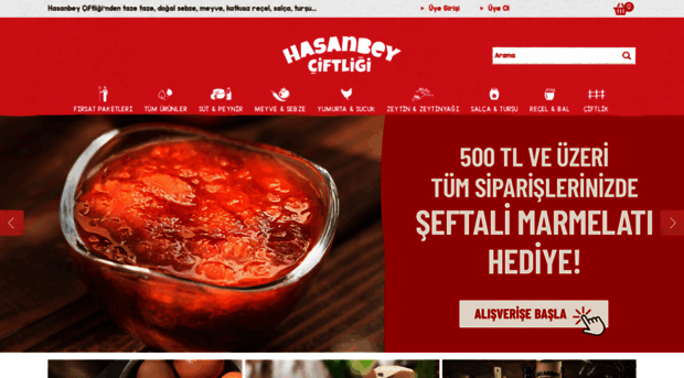 hasanbey.com