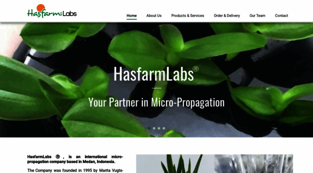 hasfarmlabs.com