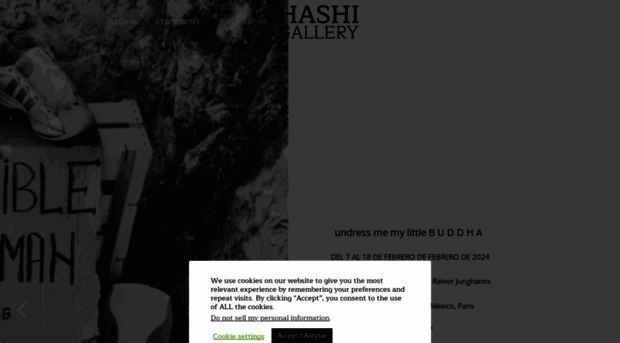 hashi.mx