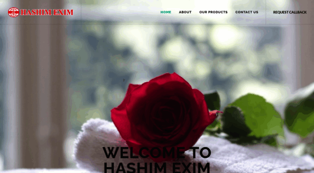 hashimexim.com