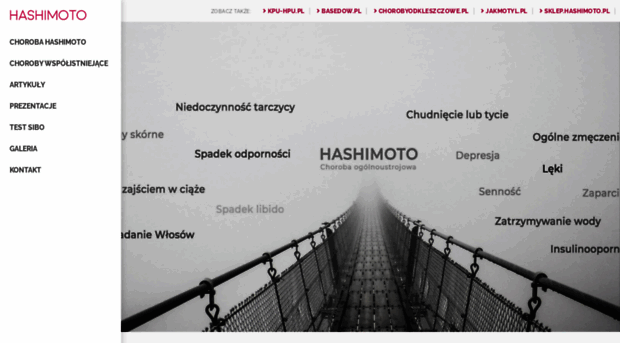 hashimoto.pl