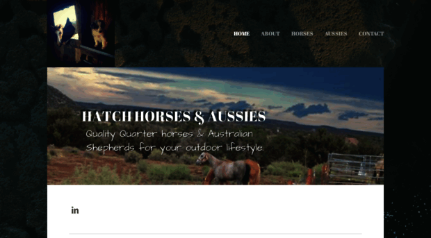 hatchhorses.com