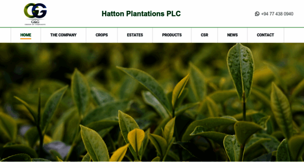 hattonplantations.lk