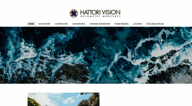 hattorivision.com