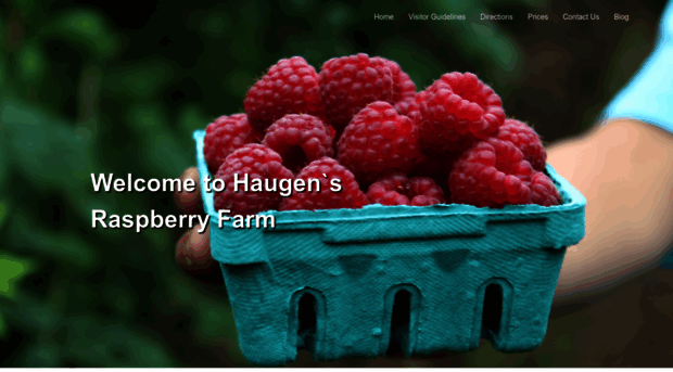 haugensraspberries.com