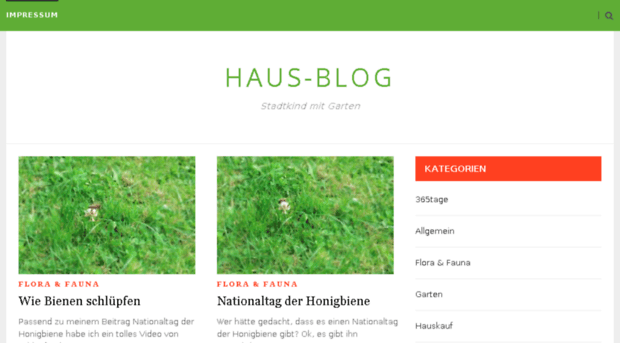 haus-blog.net