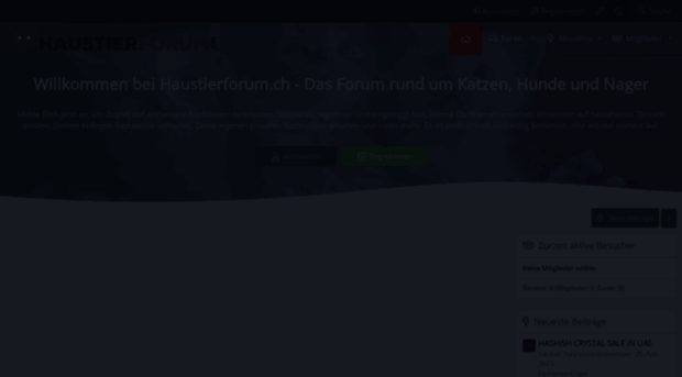 haustierforum.ch