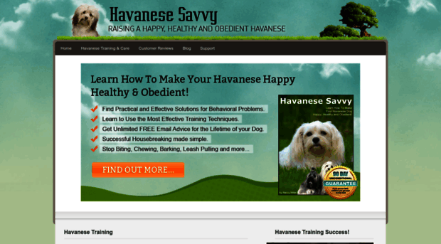 havanesesavvy.com