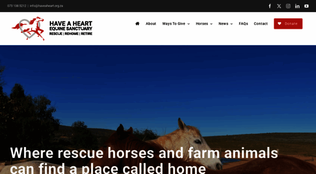 haveaheart.org.za