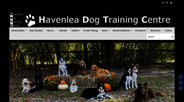 havenleadogtrainingcentre.com