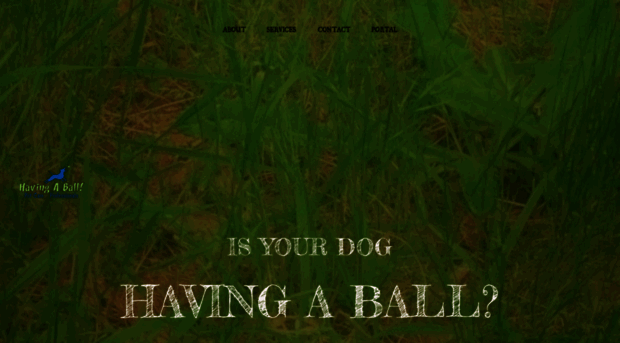 havingaballpetcare.com