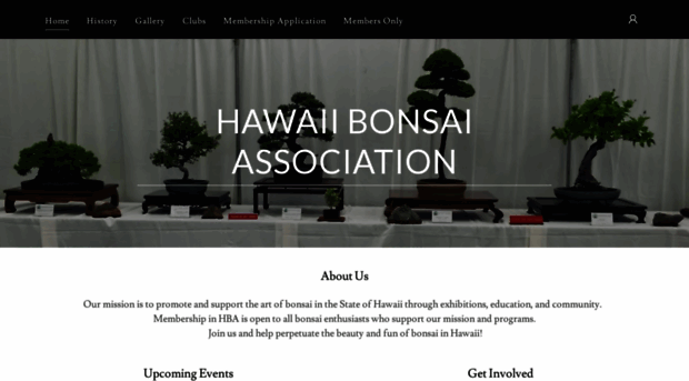 hawaiibonsaiassoc.org