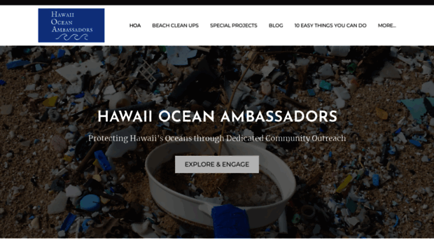 hawaiioceanambassadors.com