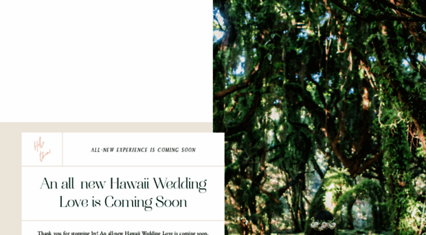 hawaiiweddinglove.com