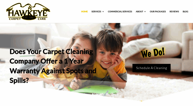 hawkeyeclean.com