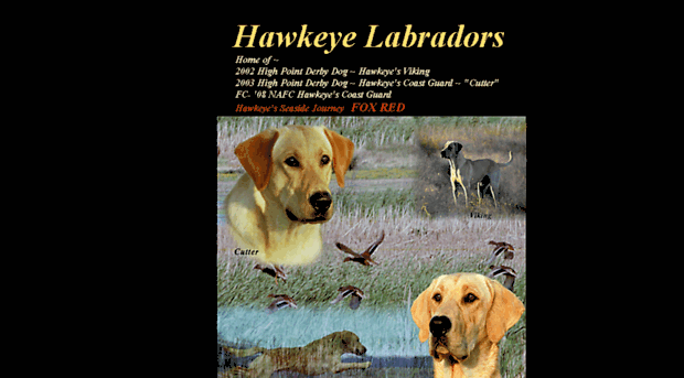 hawkeyelabradors.com