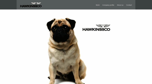 hawkinsandco.co.nz