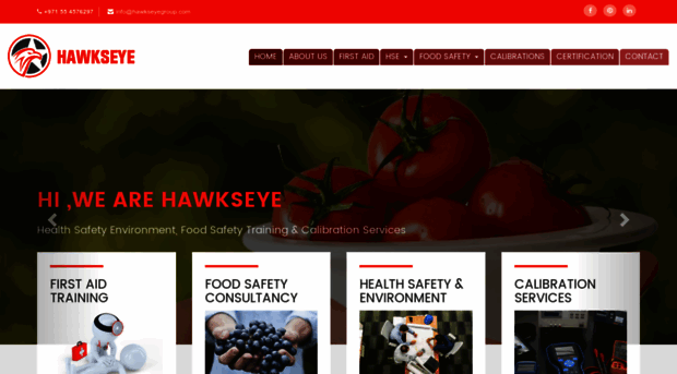 hawkseyegroup.com