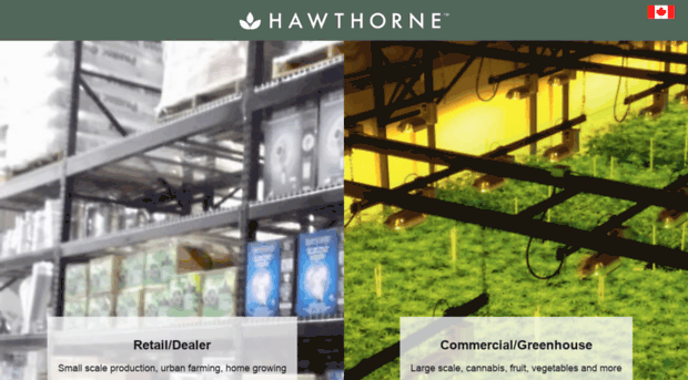 hawthornegc.ca