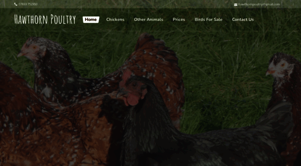 hawthornpoultry.co.uk